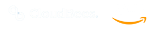 CloudBees-AWS